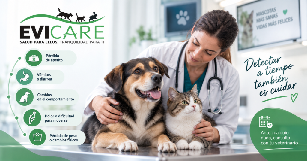 Señales de alerta en perros y gatos que indican cuándo acudir al veterinario