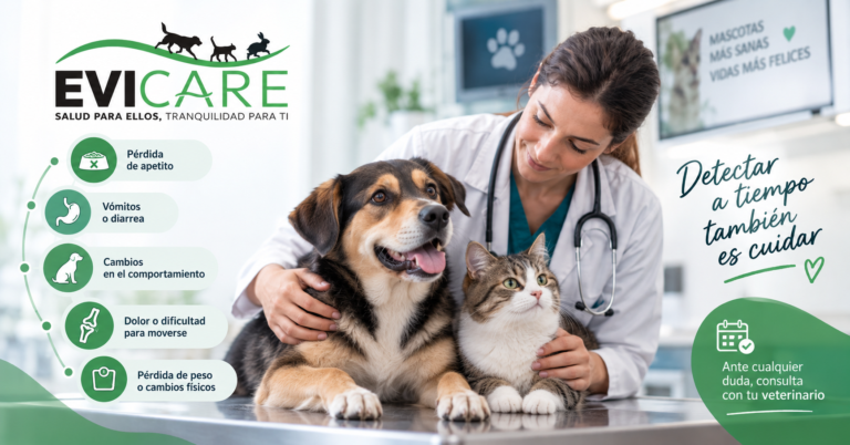 Señales de alerta en perros y gatos que indican cuándo acudir al veterinario