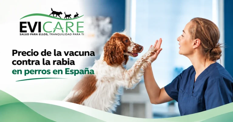 Precio de la vacuna contra la rabia en perros en España, con un perro y una profesional veterinaria en una imagen informativa de EviCare.